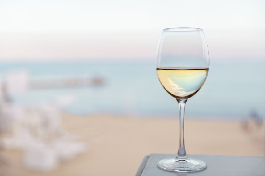 Vini siciliani: alla scoperta del Grillo